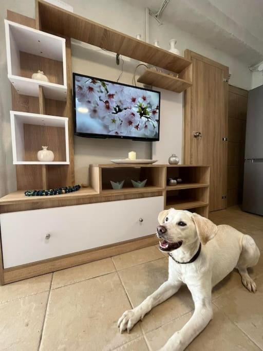Kareshome-Privacy-View Panormos  Ngoại thất bức ảnh